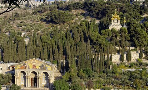 Jerusalem: Crossroads of the World