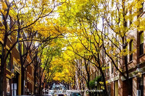 Boston Fall Foliage 2024 - 11 Best Places to See It - Boston Discovery ...