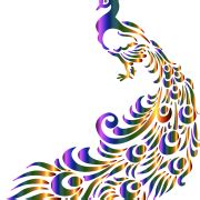Peacock PNG Transparent Images | PNG All