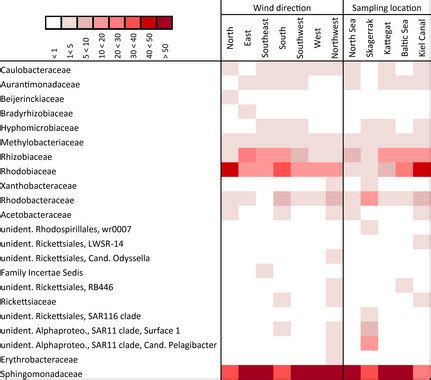 Taxonomic classification of Alphaproteobacteria family reads grouped in ...