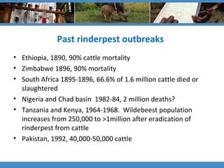 Modelling to support rinderpest outbreaks preparedness | PPT