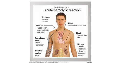 symptoms_of_acute_hemolytic_transfusion_reaction_poster ...