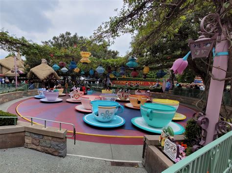 Mad Tea Party Overview | Disneyland Attractions - DVC Shop