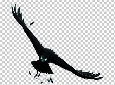 Anime Drawing Crows PNG, Clipart, Accipitriformes, Animal, Animals ...