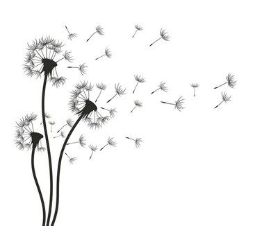 Blowing Dandelion Drawing | Free download on ClipArtMag