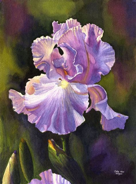 Purple Iris Art Watercolor Painting Print by Cathy Hillegas, 11x14 Floral Print, Watercolor Iris ...