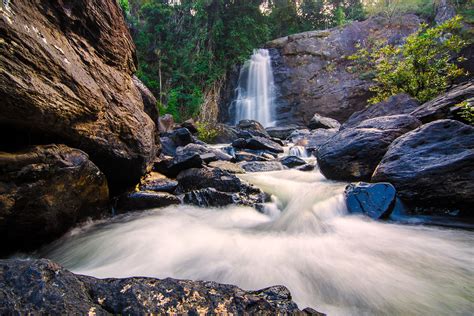 The Guide: Kerala's Wayanad district | RoundGlass | Sustain