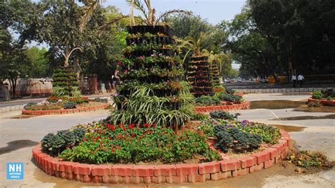 Images: Delhi decked in splendid colours of spring | National Herald