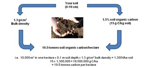 Measuring and reporting soil organic carbon | Agriculture and Food