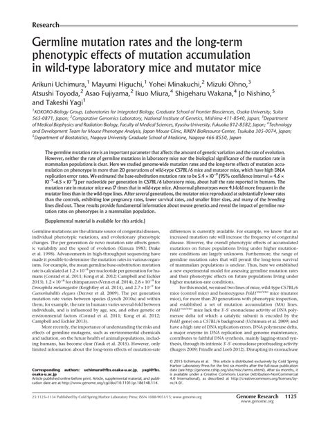 (PDF) Germline mutation rates and the long-term phenotypic effects of ...