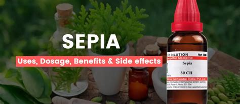 Sepia 30, 200, 1M Best Uses, Benefits, Dosage & Side Effects