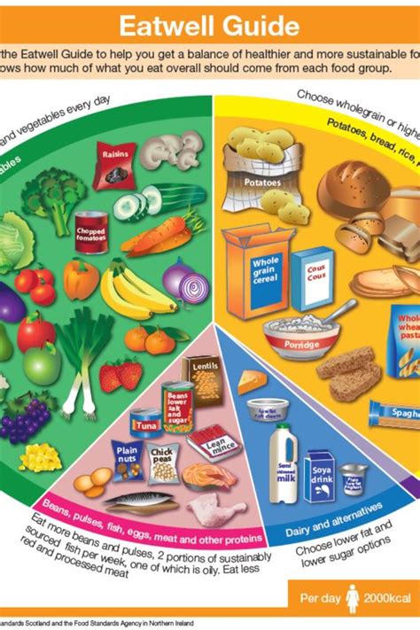 what is types of balanced diet food list chart | Diet a balanced diet ...