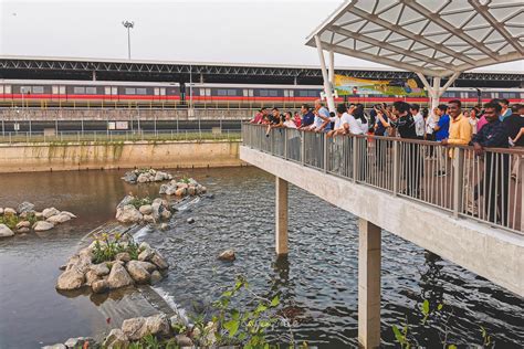 Kallang River now has greenery, meandering streams & rain gardens after S$86 million upgrade ...