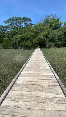 Best Hikes and Trails in Edisto Beach State Park | AllTrails