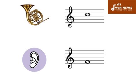 Transposition For French Horn [Professional Tips For Players]