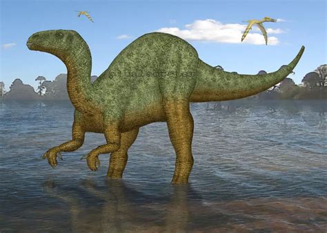 Iguanodon Facts For Kids | Kids Matttroy