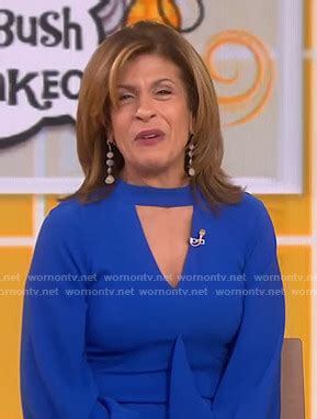 Hoda Kotb Fashion on Today | Hoda Kotb | WornOnTV.net