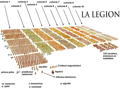 COMPOSITION AND HIERARCHY, THE ROMAN LEGION | Roman legion, Roman ...