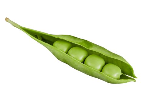 fresh green peas 12504356 PNG