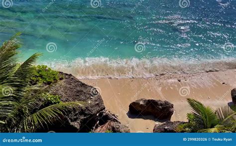 Waves on a Tropical Beach with Palm Trees Stock Footage - Video of tree ...