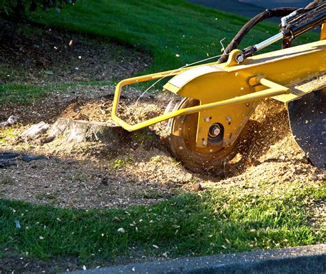 Tree Stump Grinding - Tree Mend Us