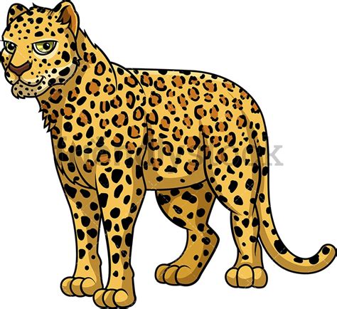 Cartoon Leopard