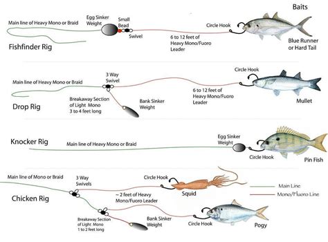 Beginner’s Guide to Setting Up a Fishing Line for Saltwater Bottom Fishing Rigs, Fishing Box ...