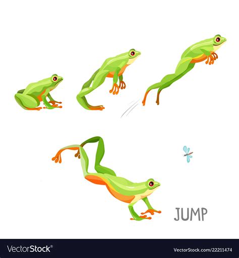 Frog jumping by sequence cartoon Royalty Free Vector Image