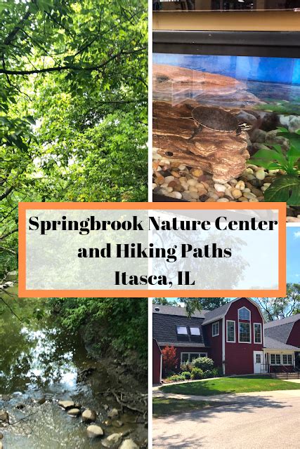 Springbrook Nature Center and Hiking Paths in Itasca, IL | Nature center, Nature, Nature preserve