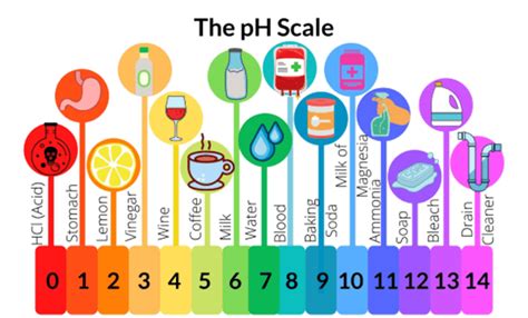 Title: If the pH of Pure Water is 6.5, then Its Temperature Should be More Than 293K- FlexiPrep