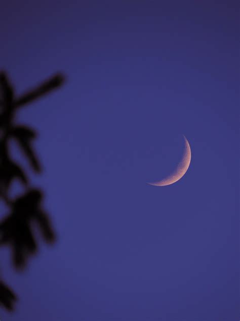 A Crescent Moon Across the Night Sky · Free Stock Photo