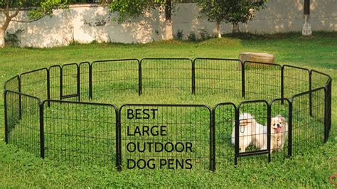 Best large outdoor dog pens - pupsbest.com