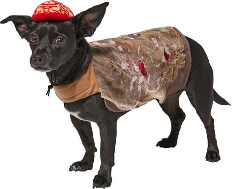 FRISCO Zombie Dog & Cat Costume, X-Large - Chewy.com