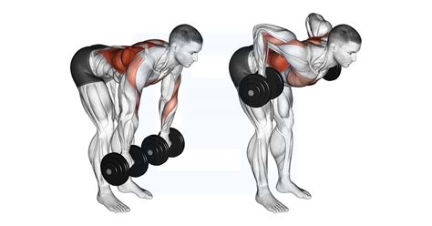 Dumbbell Palm Rotational Bent Over Row - Guide, Benefits, and Form