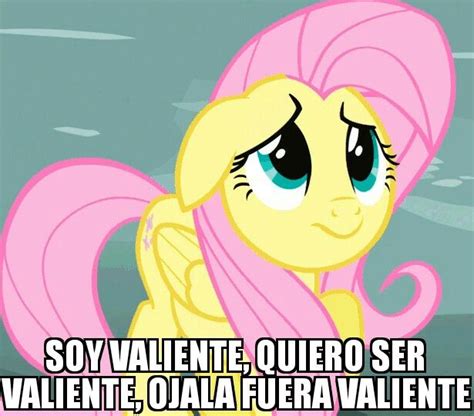 Fluttershy Meme | Imágenes graciosas, Gracioso, Memes