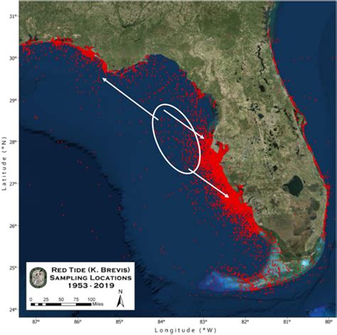 Current Red Tide Map Florida Printable Maps Wells Printable Map | Porn ...