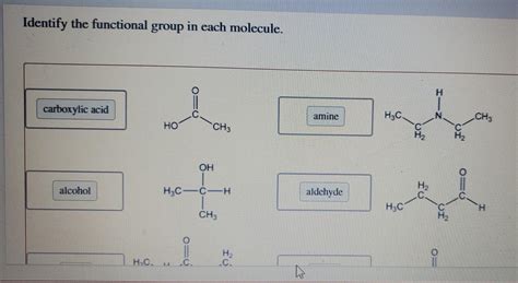 Solved Identify the functional group in each molecule. O=0 | Chegg.com