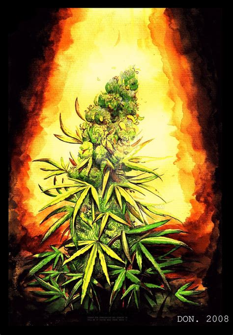 I sell Marijuana...paintings by MacDoninri on DeviantArt