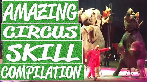 Amazing circus acts that will make you impressed || Best circus shows compilation - YouTube