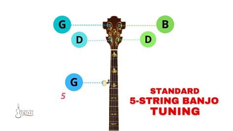 Banjo Tuning for 4, 5, and 6-String Banjos - Orchestra Central