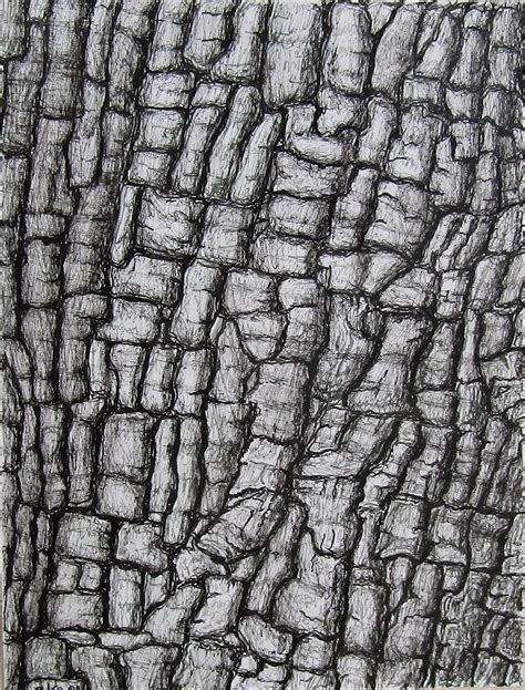 Bark, ink drawing | Tree textures, Tree drawing, Elements of design texture