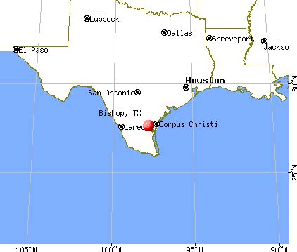 Bishop, Texas (TX 78343) profile: population, maps, real estate ...