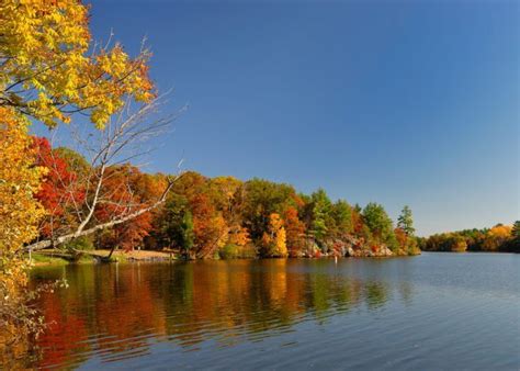 The 10 Best Scenic Drives For Viewing Wisconsin Fall Colors | Wisconsin fall colors, Scenic ...