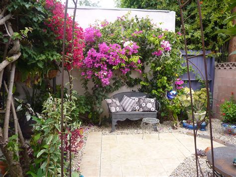 Beautiful Bougainvillea | Patio, Outdoor decor, Outdoor