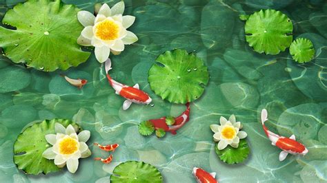 Koi Pond Wallpapers - Wallpaper Cave