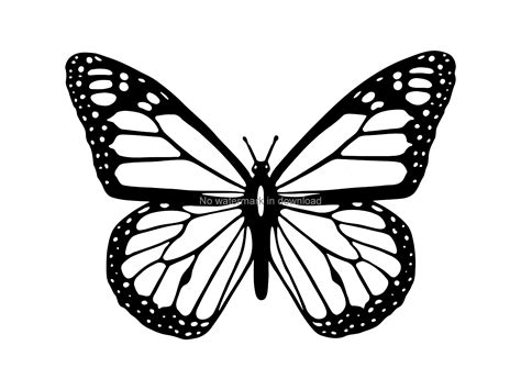 Butterfly Clipart Svg Butterfly Vinyl Cut File Butterfly - Etsy Canada