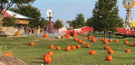 The Ultimate Houston-Area Pumpkin Patch Guide | The Loken Group