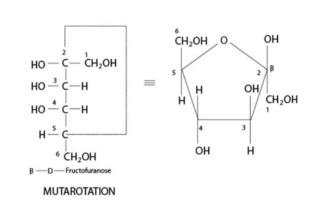 Fructose (C6H12O6) - Structure, Properties & Uses of Fructose