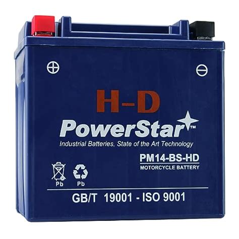 PowerStar HD 230CCA YTX14-BS Battery Replacement for Yamaha Snowmobile ...