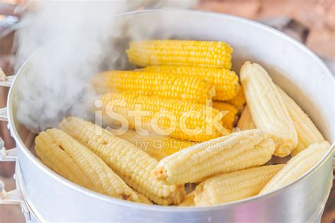 Boiled Corn Stock Photo | Royalty-Free | FreeImages